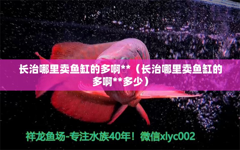 長治哪里賣魚缸的多啊**（長治哪里賣魚缸的多啊**多少）