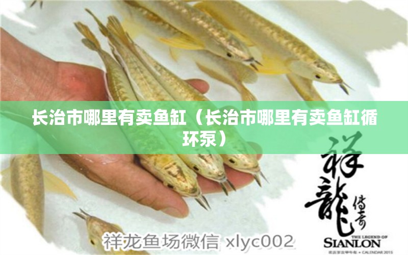 長治市哪里有賣魚缸（長治市哪里有賣魚缸循環(huán)泵）