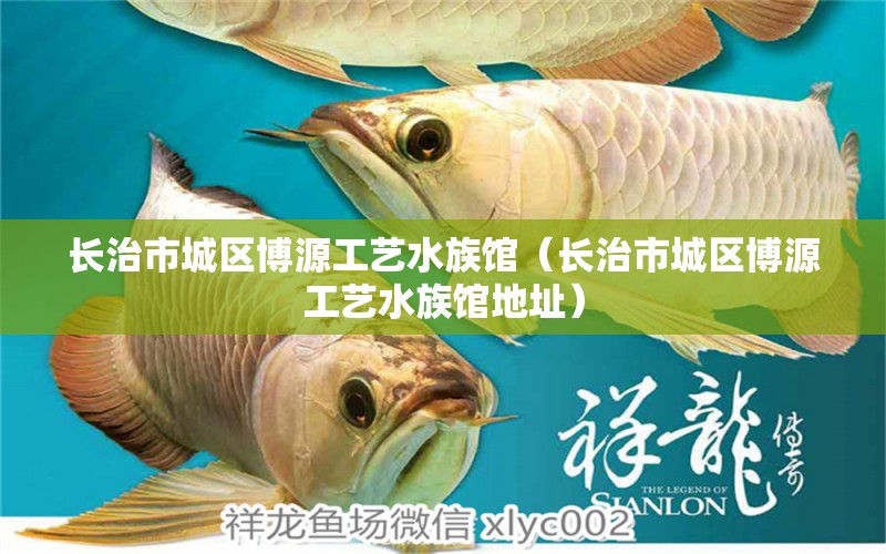 長治市城區(qū)博源工藝水族館（長治市城區(qū)博源工藝水族館地址）