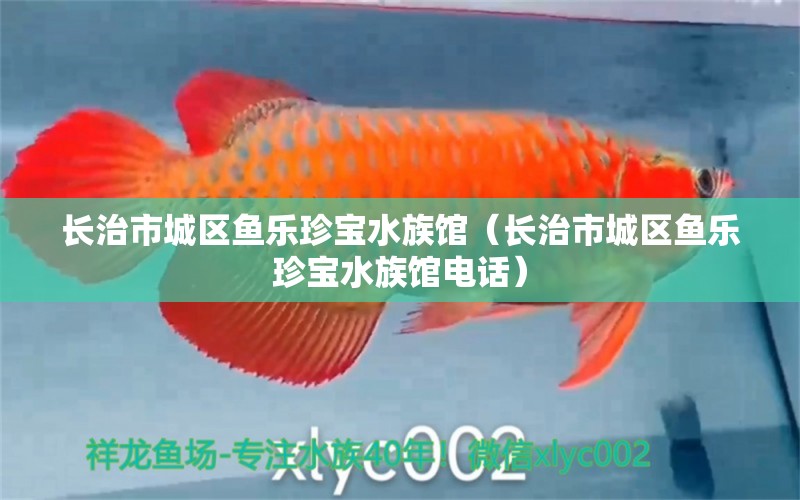 長(zhǎng)治市城區(qū)魚樂珍寶水族館（長(zhǎng)治市城區(qū)魚樂珍寶水族館電話）