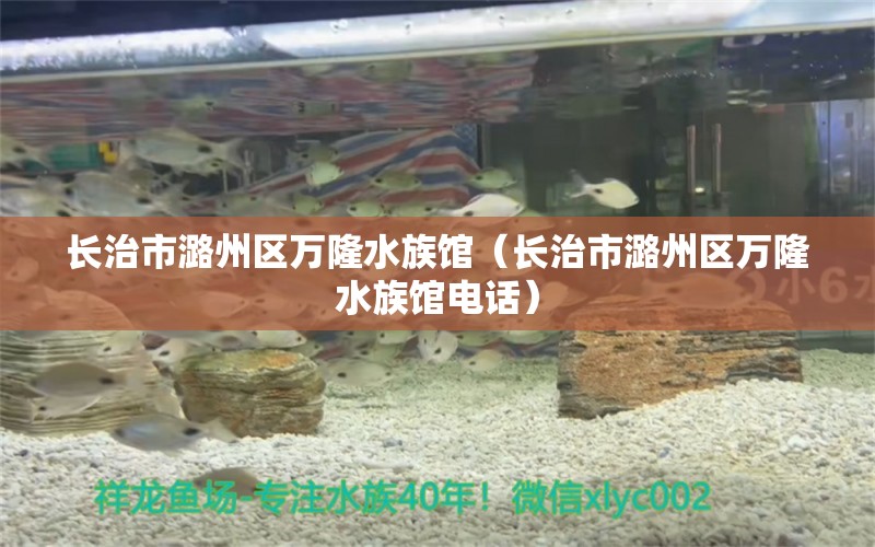 長(zhǎng)治市潞州區(qū)萬隆水族館（長(zhǎng)治市潞州區(qū)萬隆水族館電話） 全國(guó)水族館企業(yè)名錄