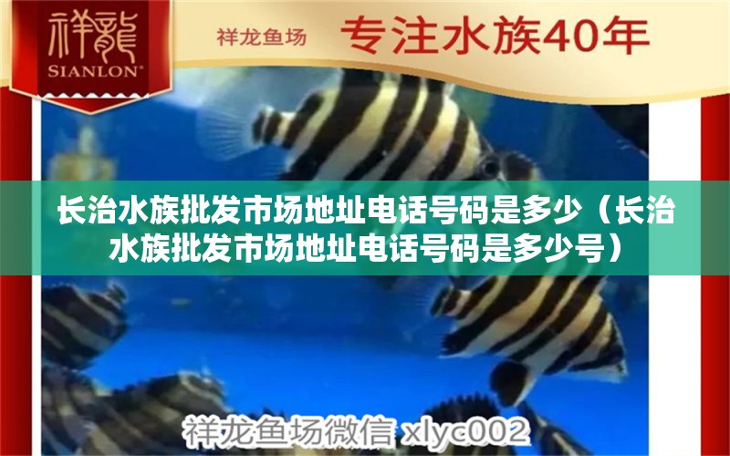 長治水族批發(fā)市場地址電話號碼是多少（長治水族批發(fā)市場地址電話號碼是多少號）