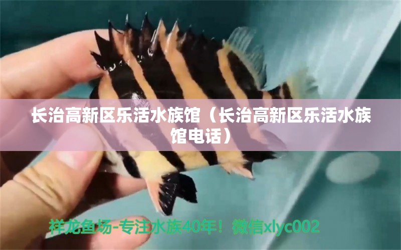 長(zhǎng)治高新區(qū)樂活水族館（長(zhǎng)治高新區(qū)樂活水族館電話） 全國(guó)水族館企業(yè)名錄