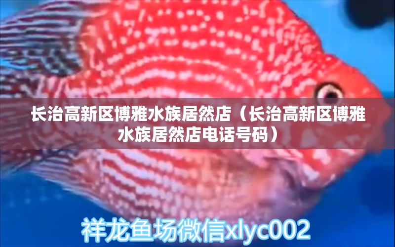 長治高新區(qū)博雅水族居然店（長治高新區(qū)博雅水族居然店電話號碼）