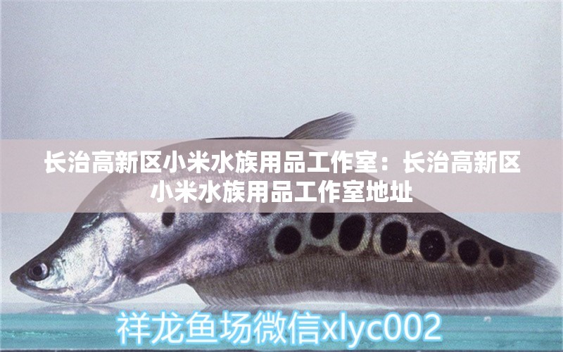 長(zhǎng)治高新區(qū)小米水族用品工作室：長(zhǎng)治高新區(qū)小米水族用品工作室地址 水族用品