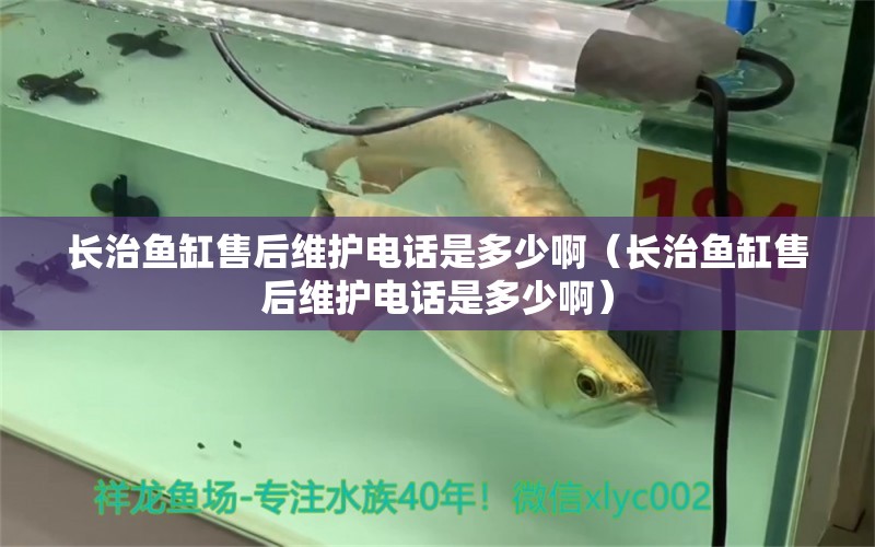 長(zhǎng)治魚缸售后維護(hù)電話是多少?。ㄩL(zhǎng)治魚缸售后維護(hù)電話是多少?。? title=