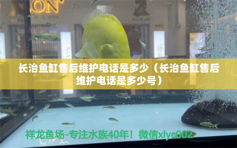 長治魚缸售后維護(hù)電話是多少（長治魚缸售后維護(hù)電話是多少號）