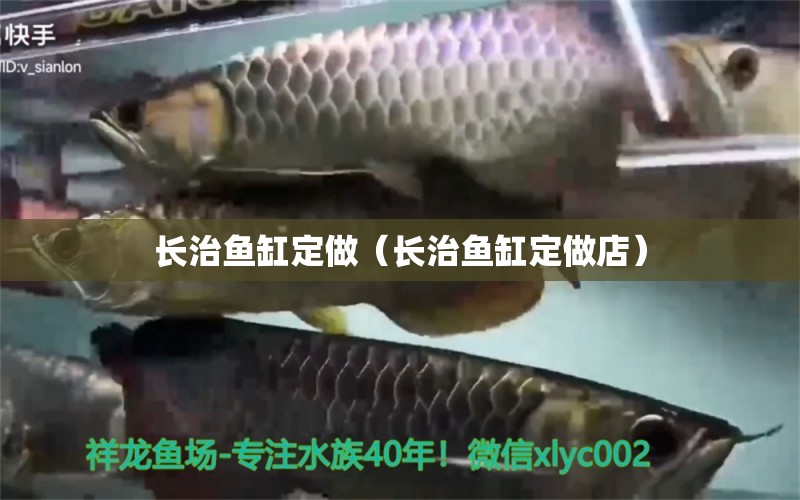 長治魚缸定做（長治魚缸定做店）