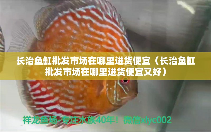 長治魚缸批發(fā)市場在哪里進(jìn)貨便宜（長治魚缸批發(fā)市場在哪里進(jìn)貨便宜又好）