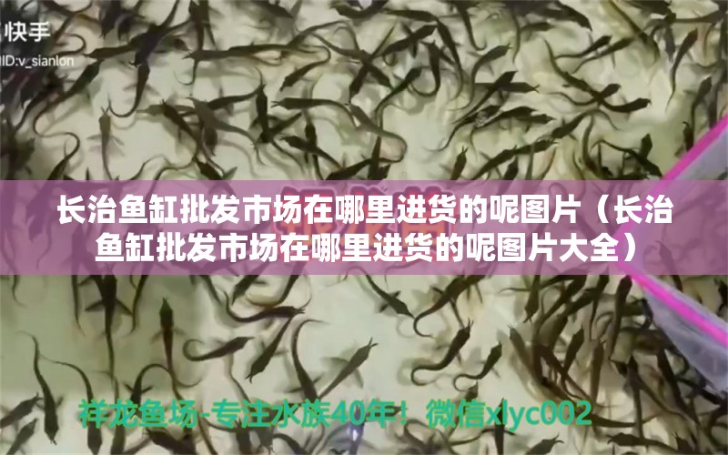 長治魚缸批發(fā)市場在哪里進貨的呢圖片（長治魚缸批發(fā)市場在哪里進貨的呢圖片大全）