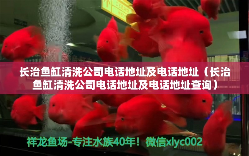 長(zhǎng)治魚(yú)缸清洗公司電話地址及電話地址（長(zhǎng)治魚(yú)缸清洗公司電話地址及電話地址查詢(xún)） 黃吉金龍（白子金龍魚(yú)）