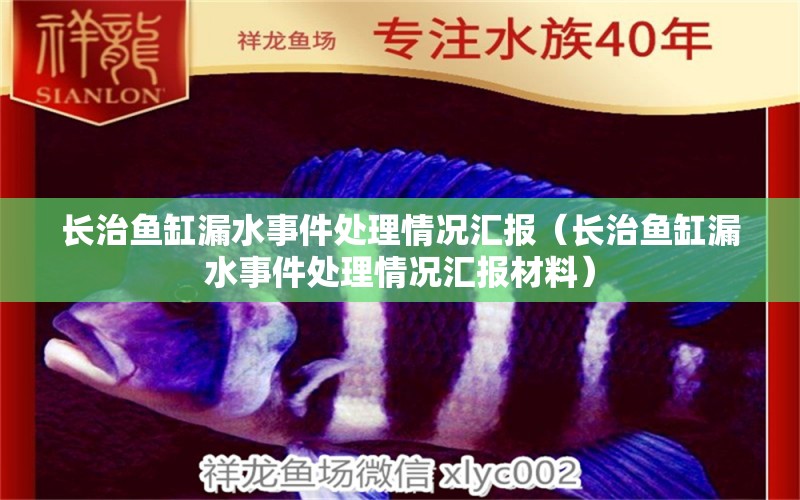 長治魚缸漏水事件處理情況匯報（長治魚缸漏水事件處理情況匯報材料） 祥龍水族醫(yī)院