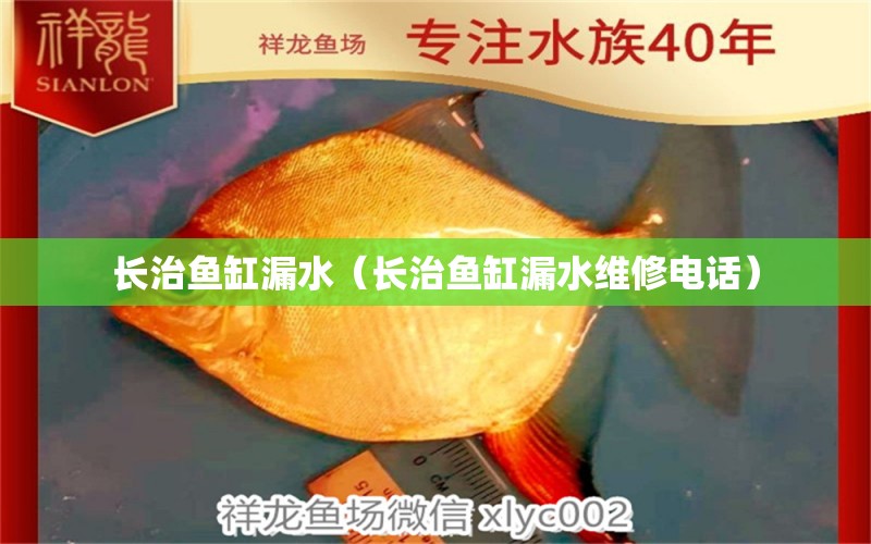 長治魚缸漏水（長治魚缸漏水維修電話）