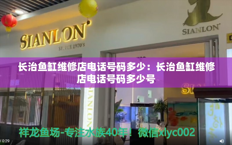 長治魚缸維修店電話號碼多少：長治魚缸維修店電話號碼多少號