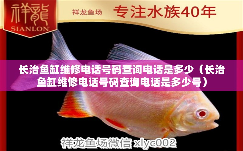 長治魚缸維修電話號碼查詢電話是多少（長治魚缸維修電話號碼查詢電話是多少號）