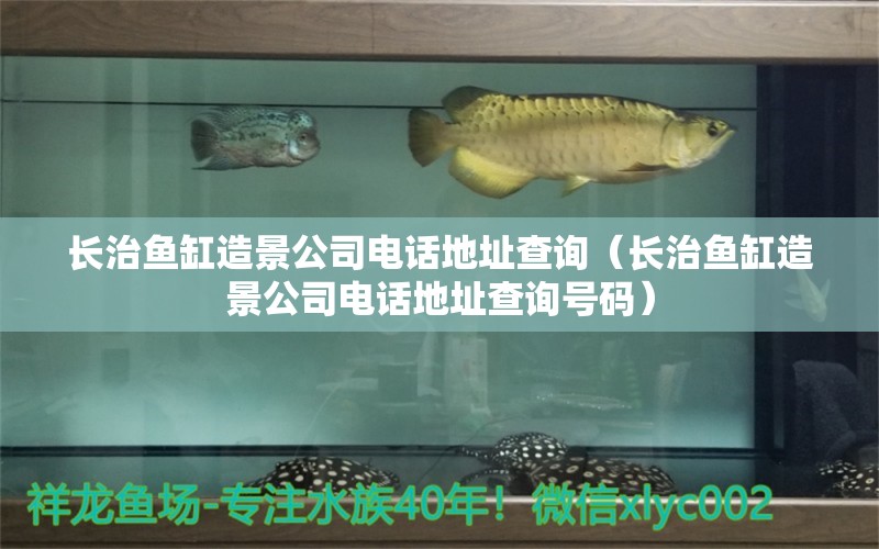 長治魚缸造景公司電話地址查詢（長治魚缸造景公司電話地址查詢號碼） 觀賞魚市場（混養(yǎng)魚）