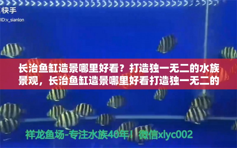 長(zhǎng)治魚(yú)缸造景哪里好看？打造獨(dú)一無(wú)二的水族景觀，長(zhǎng)治魚(yú)缸造景哪里好看打造獨(dú)一無(wú)二的水族景觀照明景觀照明景觀