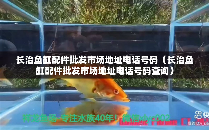 長治魚缸配件批發(fā)市場地址電話號碼（長治魚缸配件批發(fā)市場地址電話號碼查詢）