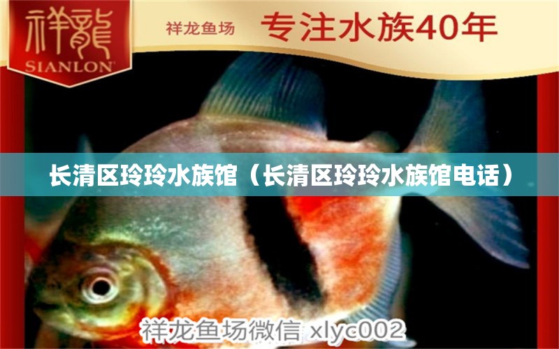 長(zhǎng)清區(qū)玲玲水族館（長(zhǎng)清區(qū)玲玲水族館電話） 全國水族館企業(yè)名錄