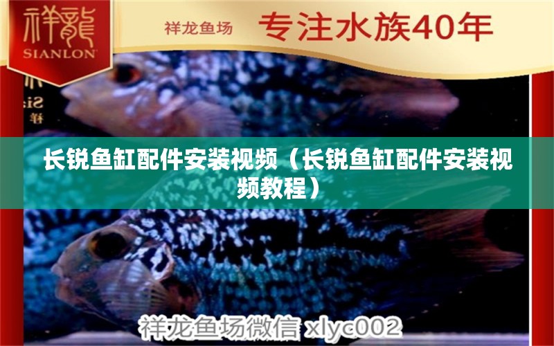 長銳魚缸配件安裝視頻（長銳魚缸配件安裝視頻教程）