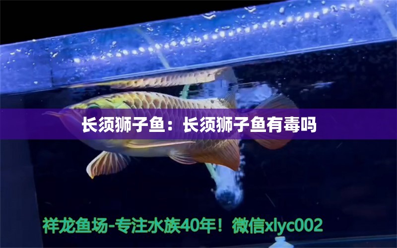 長須獅子魚：長須獅子魚有毒嗎 紅白錦鯉魚