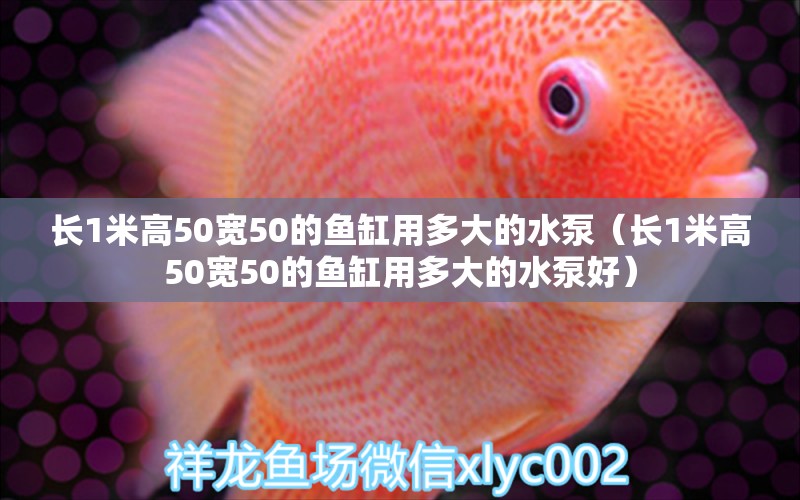 長1米高50寬50的魚缸用多大的水泵（長1米高50寬50的魚缸用多大的水泵好） 魚缸百科