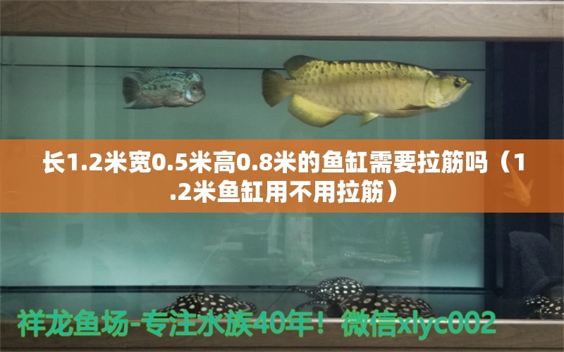 長1.2米寬0.5米高0.8米的魚缸需要拉筋嗎（1.2米魚缸用不用拉筋）