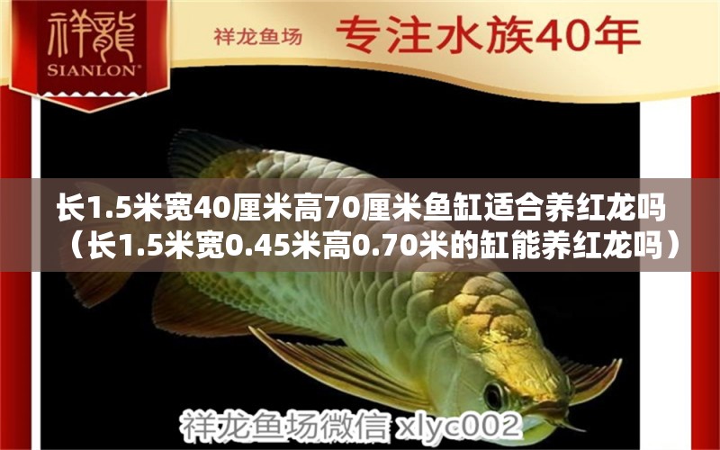 長(zhǎng)1.5米寬40厘米高70厘米魚缸適合養(yǎng)紅龍嗎（長(zhǎng)1.5米寬0.45米高0.70米的缸能養(yǎng)紅龍嗎） 祥龍水族醫(yī)院