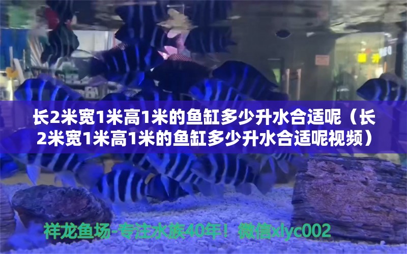 長2米寬1米高1米的魚缸多少升水合適呢（長2米寬1米高1米的魚缸多少升水合適呢視頻） 其他品牌魚缸