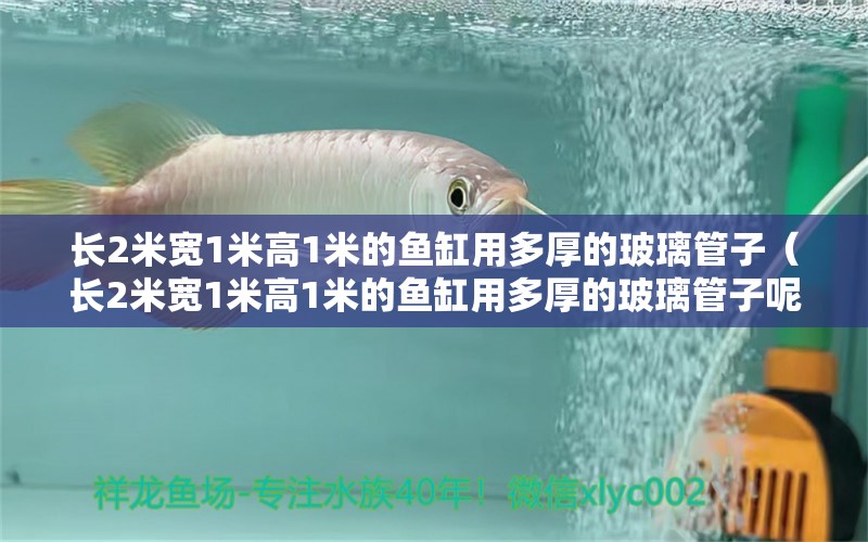 長2米寬1米高1米的魚缸用多厚的玻璃管子（長2米寬1米高1米的魚缸用多厚的玻璃管子呢） 其他品牌魚缸