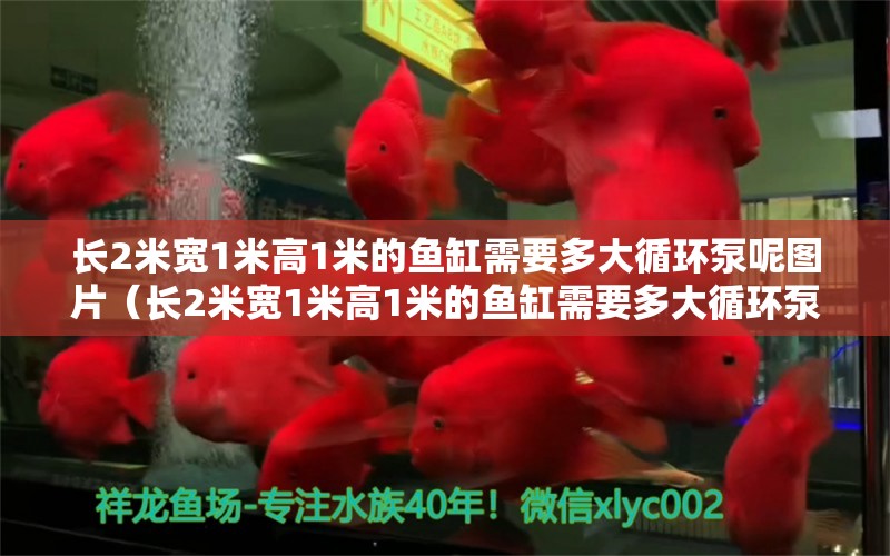 長(zhǎng)2米寬1米高1米的魚(yú)缸需要多大循環(huán)泵呢圖片（長(zhǎng)2米寬1米高1米的魚(yú)缸需要多大循環(huán)泵呢圖片）