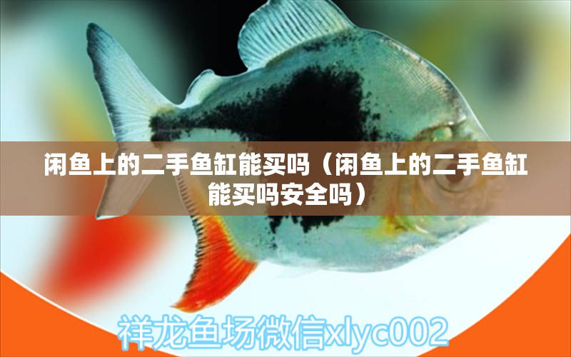 閑魚(yú)上的二手魚(yú)缸能買嗎（閑魚(yú)上的二手魚(yú)缸能買嗎安全嗎） 祥龍水族醫(yī)院