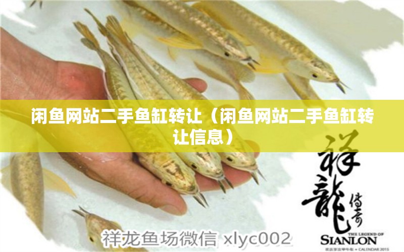 閑魚網(wǎng)站二手魚缸轉(zhuǎn)讓（閑魚網(wǎng)站二手魚缸轉(zhuǎn)讓信息）