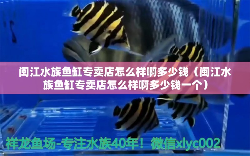 閩江水族魚缸專賣店怎么樣啊多少錢（閩江水族魚缸專賣店怎么樣啊多少錢一個(gè)）