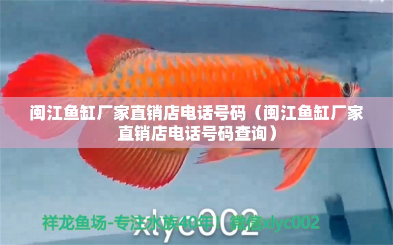 閩江魚缸廠家直銷店電話號碼（閩江魚缸廠家直銷店電話號碼查詢）