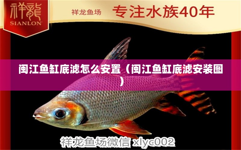 閩江魚缸底濾怎么安置（閩江魚缸底濾安裝圖） 祥龍水族醫(yī)院