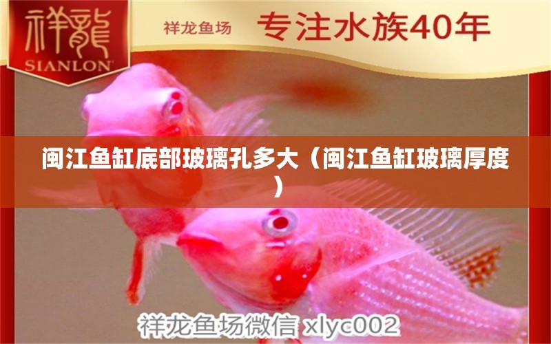 閩江魚缸底部玻璃孔多大（閩江魚缸玻璃厚度）