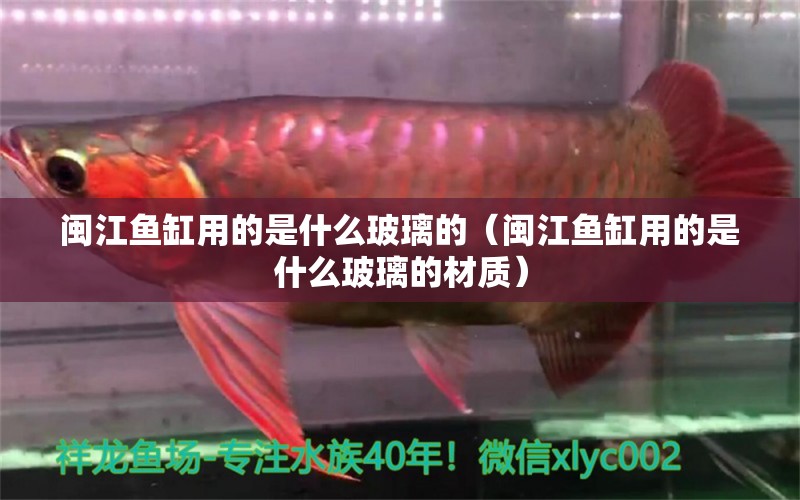 閩江魚(yú)缸用的是什么玻璃的（閩江魚(yú)缸用的是什么玻璃的材質(zhì)）