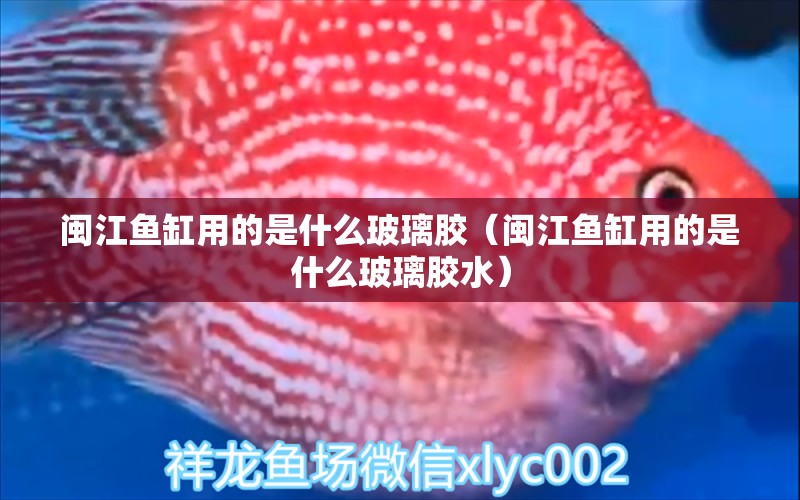 閩江魚缸用的是什么玻璃膠（閩江魚缸用的是什么玻璃膠水）