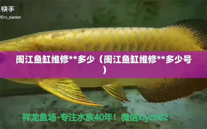 閩江魚缸維修**多少（閩江魚缸維修**多少號(hào)）