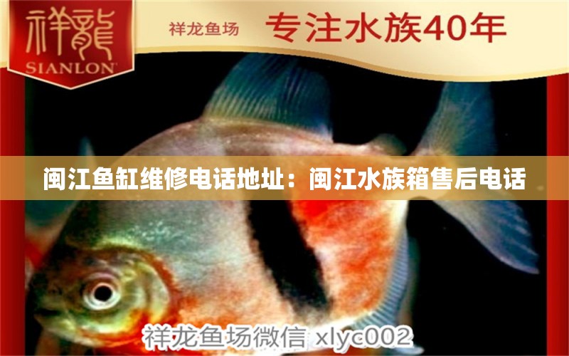 閩江魚(yú)缸維修電話地址：閩江水族箱售后電話 魚(yú)缸/水族箱