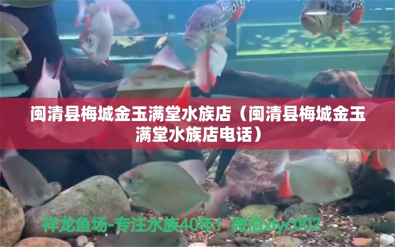 閩清縣梅城金玉滿堂水族店（閩清縣梅城金玉滿堂水族店電話）