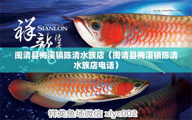 閩清縣梅溪鎮(zhèn)陳清水族店（閩清縣梅溪鎮(zhèn)陳清水族店電話） 全國(guó)水族館企業(yè)名錄