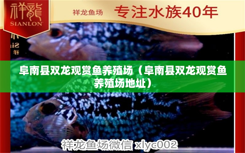 阜南縣雙龍觀賞魚(yú)養(yǎng)殖場(chǎng)（阜南縣雙龍觀賞魚(yú)養(yǎng)殖場(chǎng)地址）