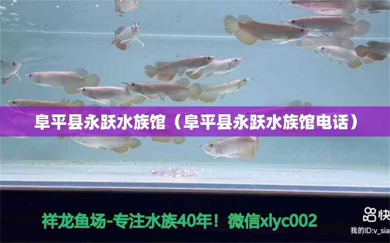 阜平縣永躍水族館（阜平縣永躍水族館電話）