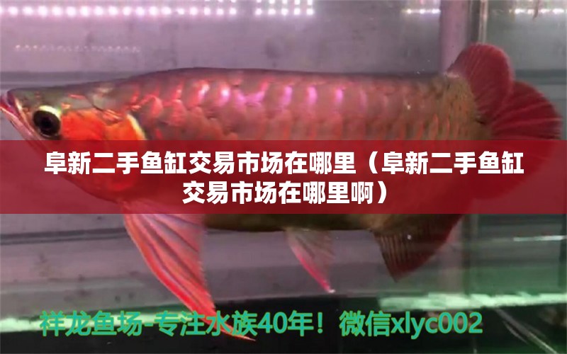 阜新二手魚缸交易市場(chǎng)在哪里（阜新二手魚缸交易市場(chǎng)在哪里?。? title=