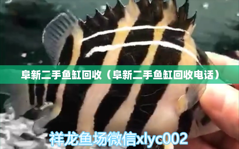 阜新二手魚缸回收（阜新二手魚缸回收電話）