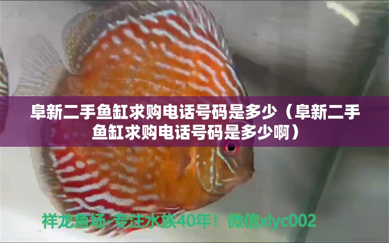 阜新二手魚缸求購(gòu)電話號(hào)碼是多少（阜新二手魚缸求購(gòu)電話號(hào)碼是多少?。? title=