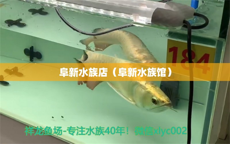 阜新水族店（阜新水族館）