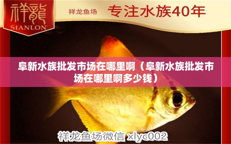 阜新水族批發(fā)市場在哪里?。ǜ沸滤迮l(fā)市場在哪里啊多少錢） 觀賞魚水族批發(fā)市場